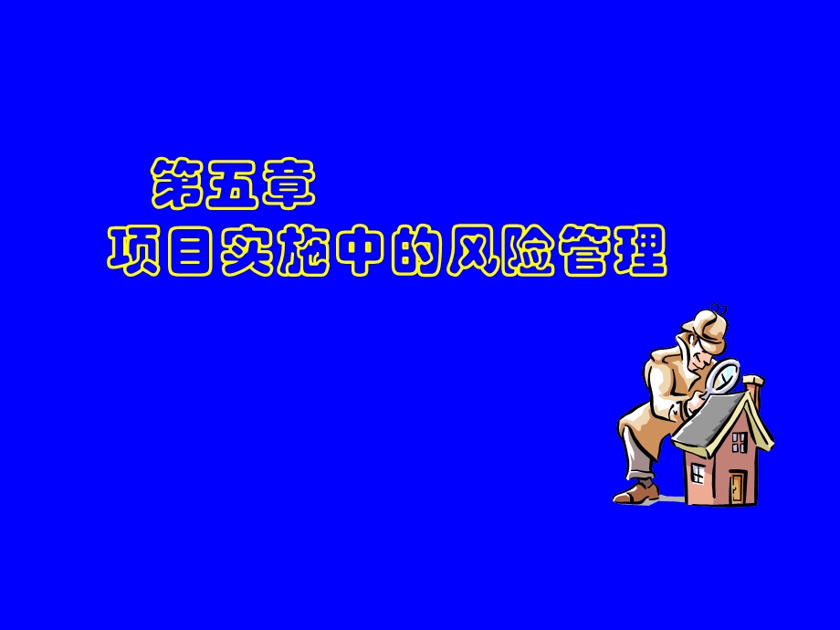 项目实施中的风险管理.ppt_第1页