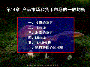 西方经济学宏观14产品市场和货币市场的一般均衡.ppt