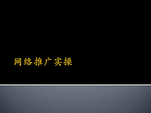 【广告策划PPT】网络推广实操.ppt