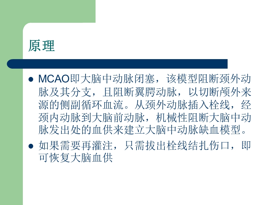 鼠MCAO模型的制.ppt_第2页