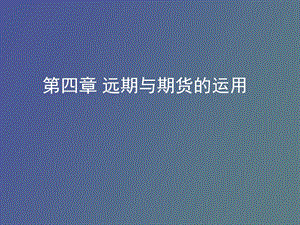 远期与期货的运用.ppt