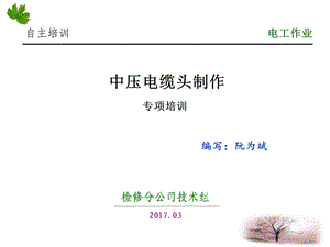 高压电缆头制作一(专项培训).ppt