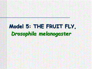 《分子生物学》3-cha.ppt