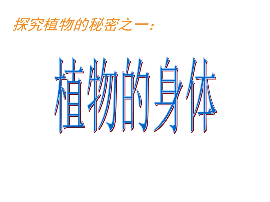 青岛版四年级科学上册植物的身体课件.ppt_第1页