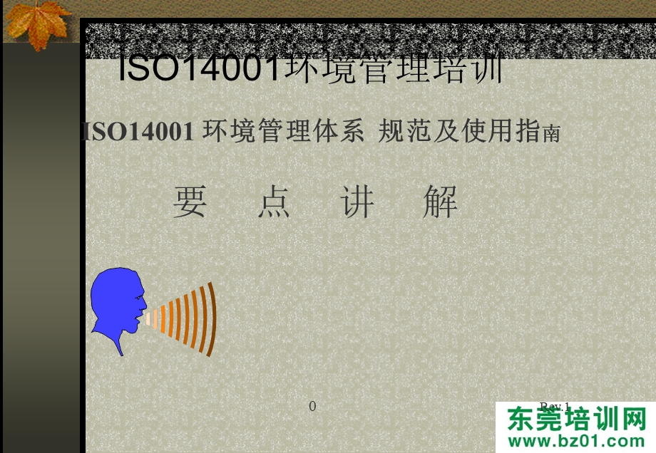 德信诚14000知识培训.ppt_第2页