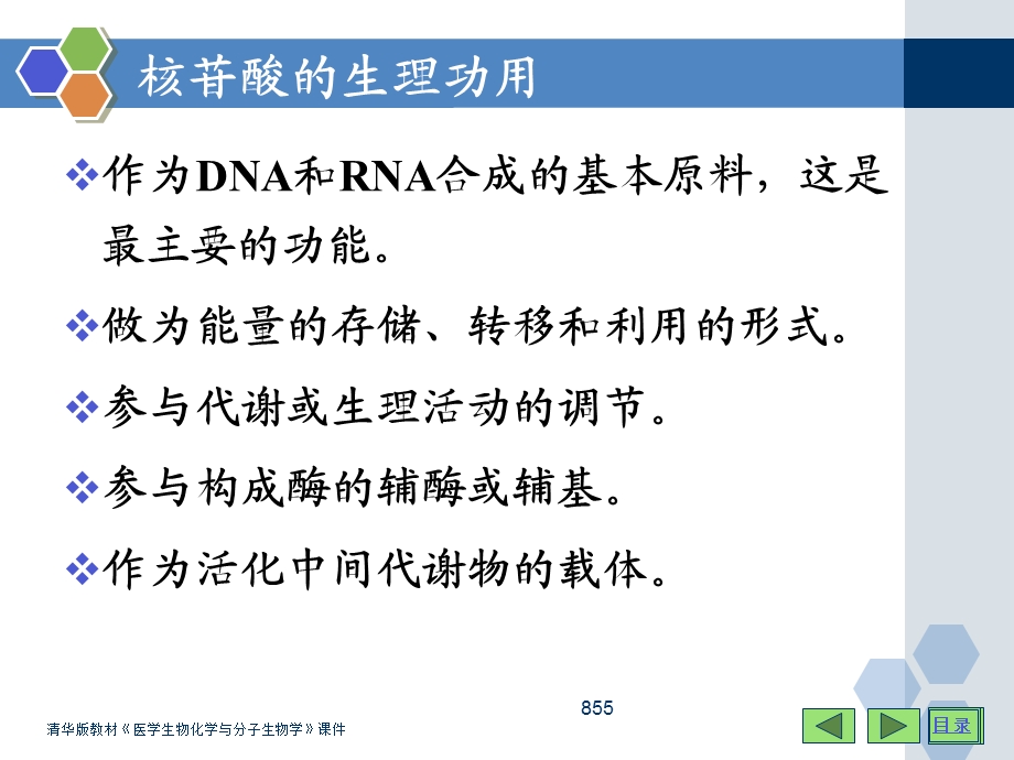 遗传物质合成的基本原料-核苷酸.ppt_第3页