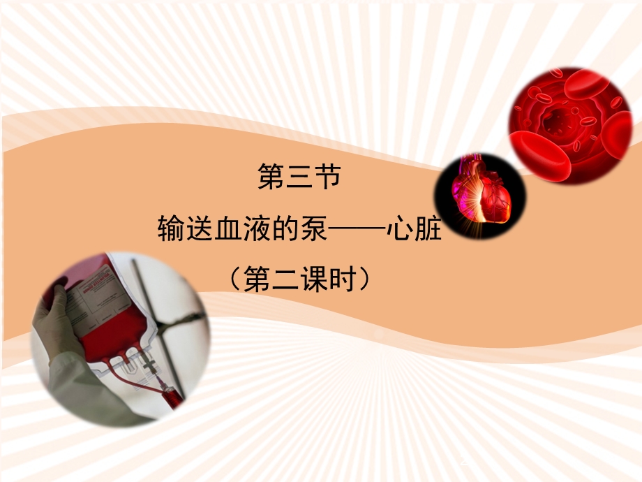 血液循环的途径课件.ppt_第2页