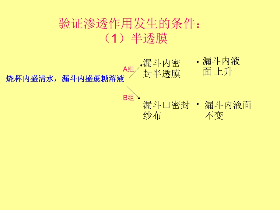 验证渗透作用发生的条件.ppt_第1页