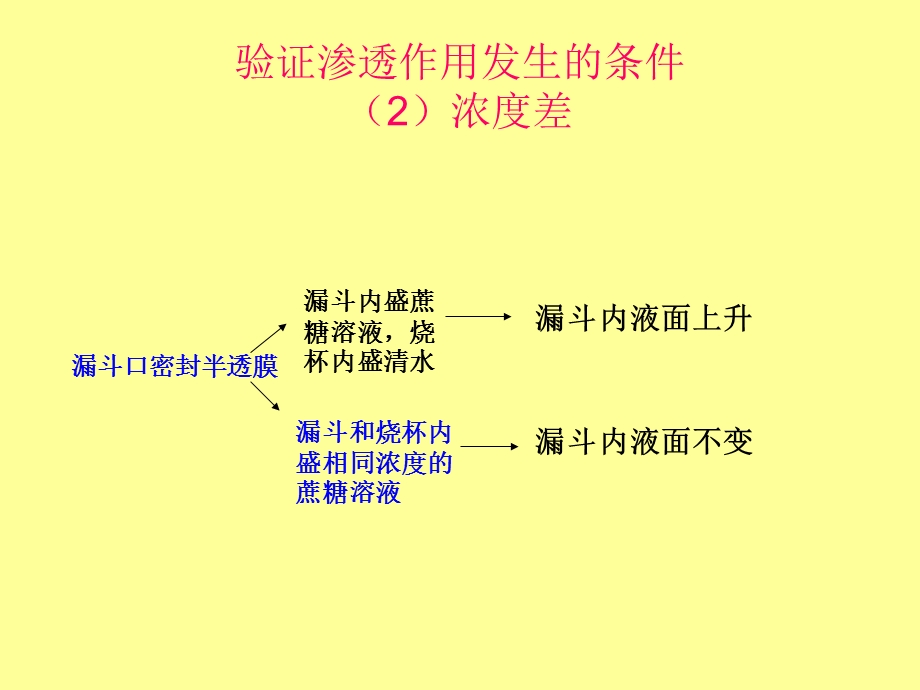 验证渗透作用发生的条件.ppt_第2页