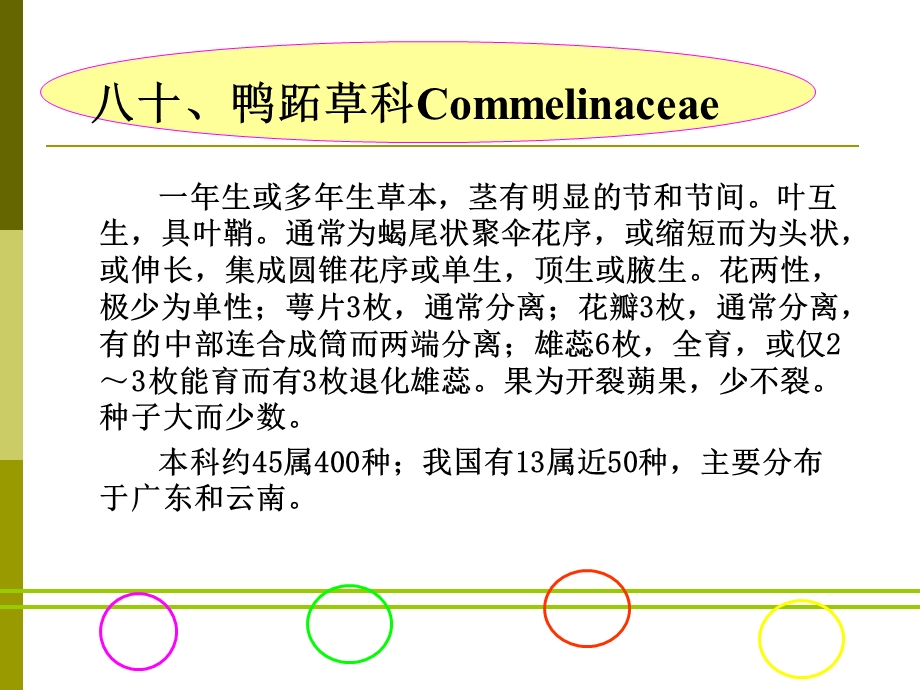 鸭跖草科Commelinacea.ppt_第1页