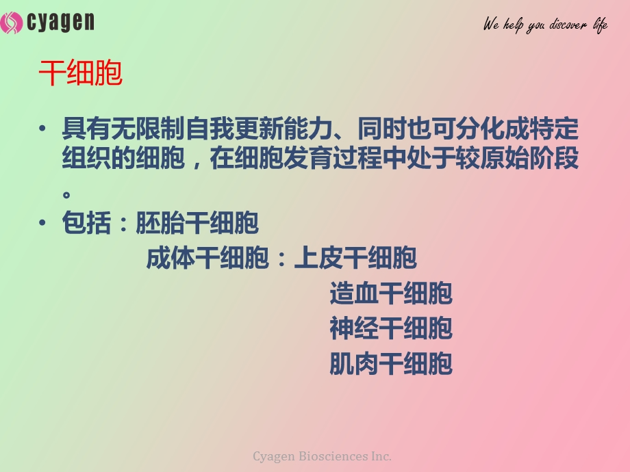 诱导多能干细胞.ppt_第3页