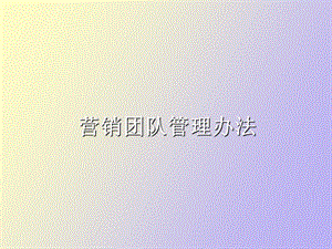 销售团队管理办法.ppt