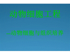 2.2动物细胞工程课件(新人教版选修3).ppt