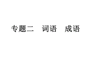 中考语文复习专题2词语成语课件人教新课标版.ppt