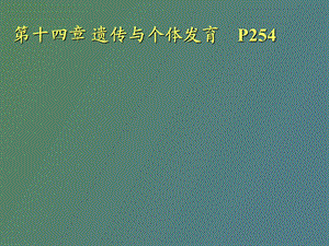 遗传与个体发育.ppt