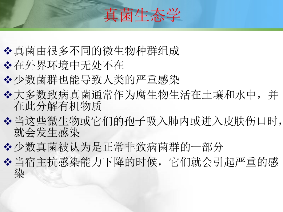 侵袭性真菌感染治疗药物.ppt_第2页