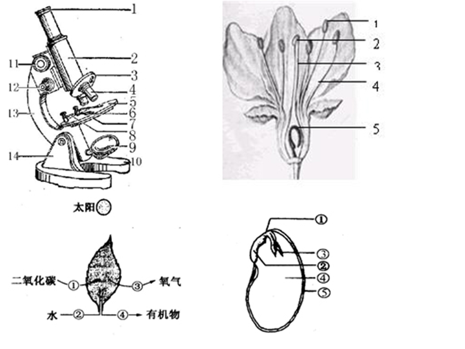 初一上生填空题(含答案).ppt_第1页