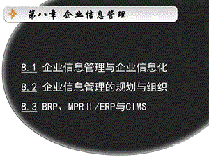 企业信息管理与企业信息化稀缺精品ppt课件.ppt