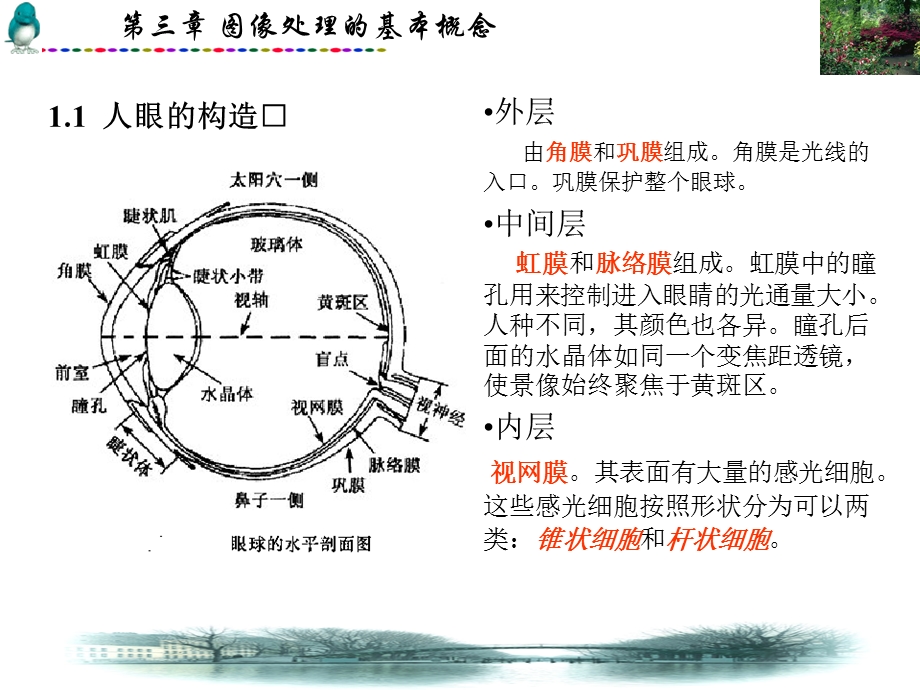 图像处理的基本知识.ppt_第3页