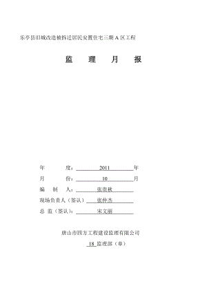 10月份监理月报 Microsoft Word 文档.doc