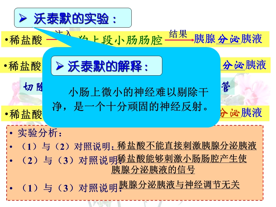 培训资料-通过激素的调节.ppt_第3页