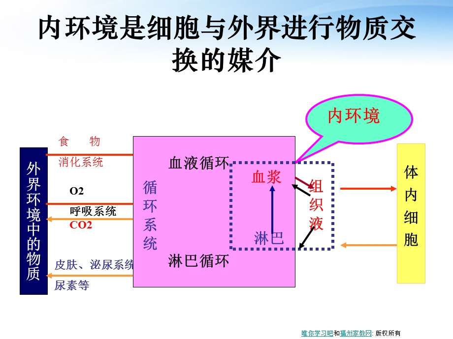 内环境稳态的重要性.ppt_第2页