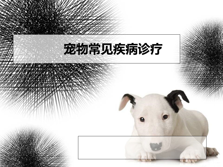 宠物常见疾病诊疗.ppt_第1页