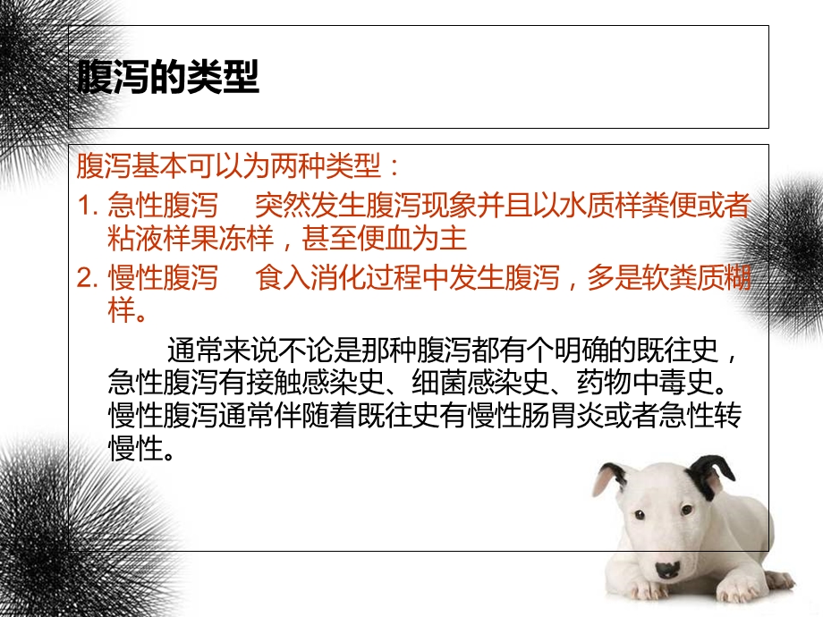 宠物常见疾病诊疗.ppt_第2页