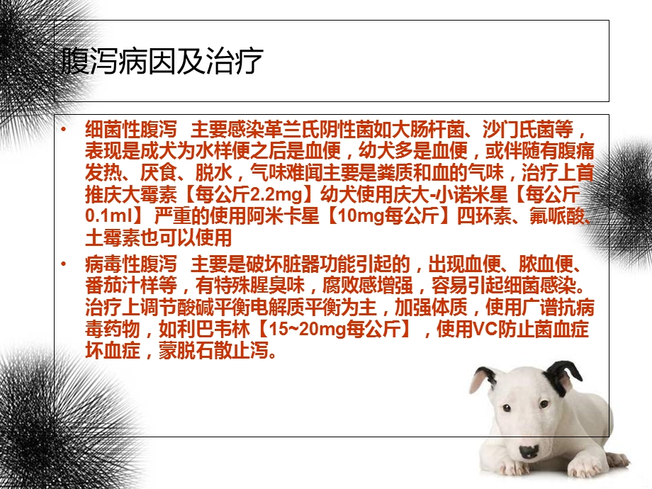 宠物常见疾病诊疗.ppt_第3页