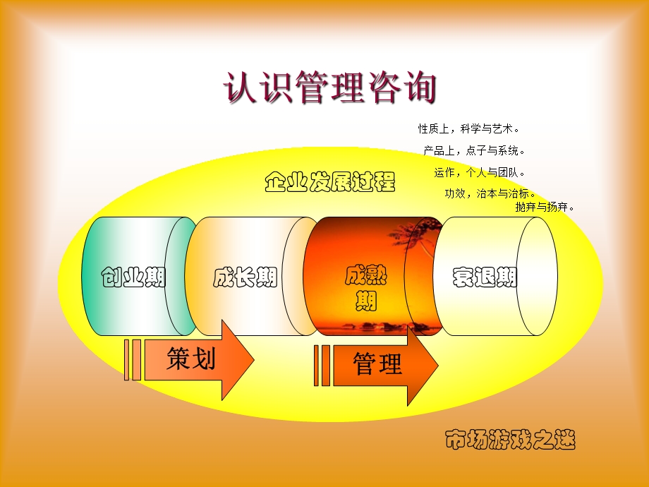 管理顾问操作实务.ppt_第3页