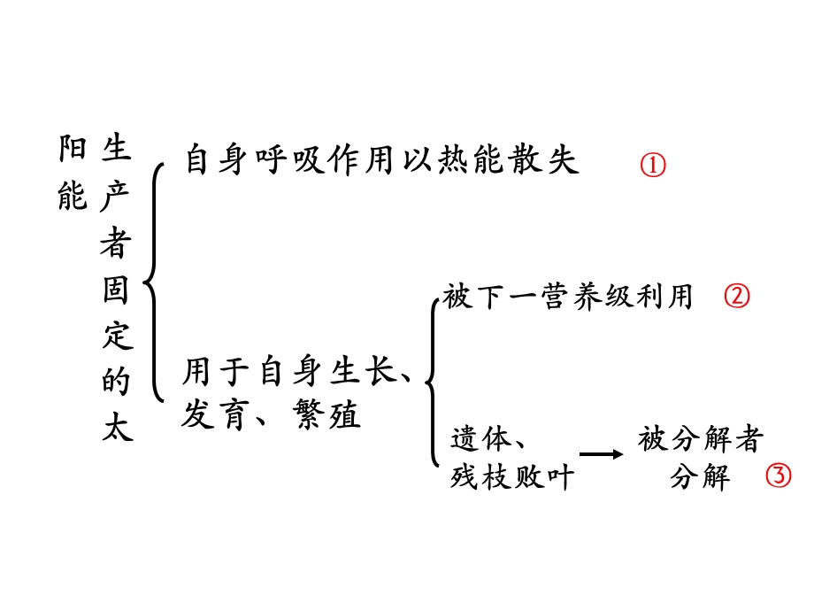 会考复习生态系统的功能.ppt_第3页