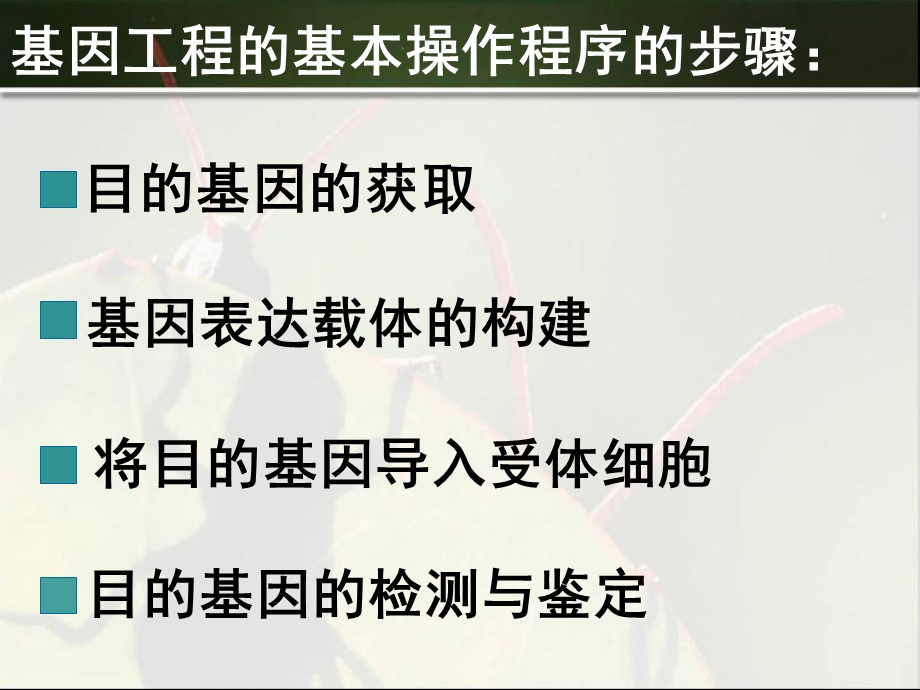 人教版教学课件高二生物(基因工程的基本操作程序).ppt_第2页