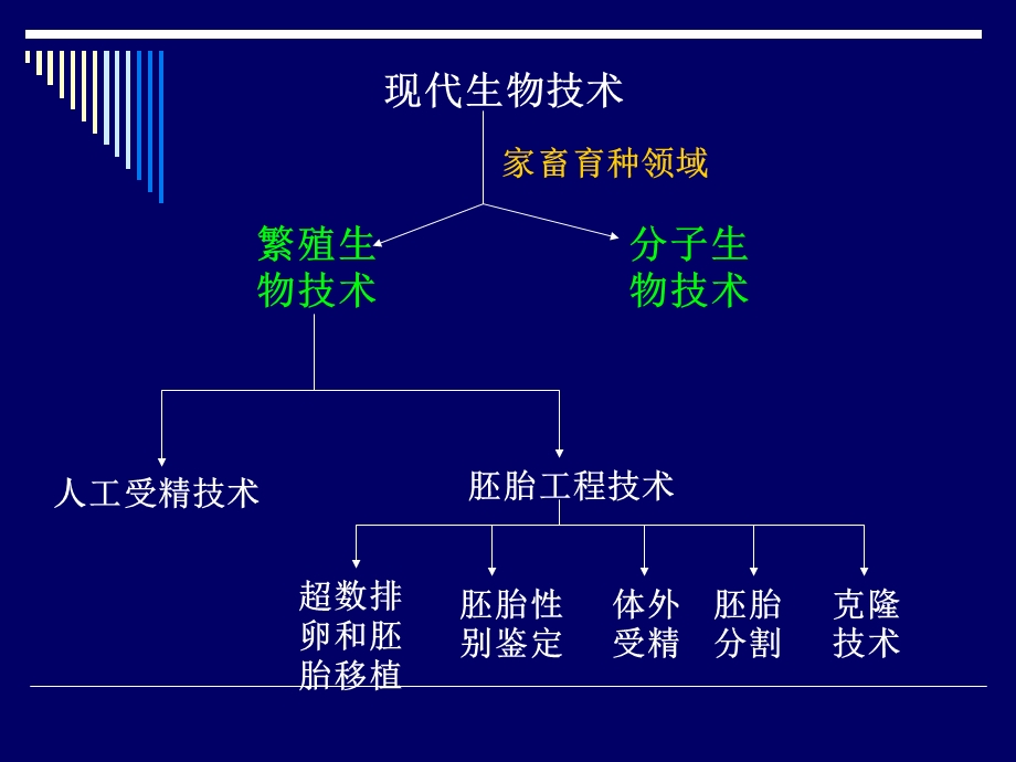 动物胚胎移植技术及体外受精.ppt_第3页