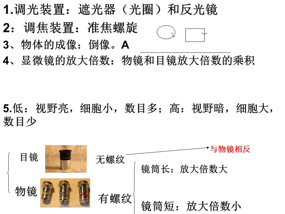 初二期末生物专题复习.ppt_第3页