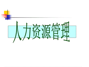 人力资源规划工作分析与设计.ppt