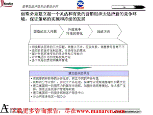 安达信丽珠目标营销组织方案报告.ppt