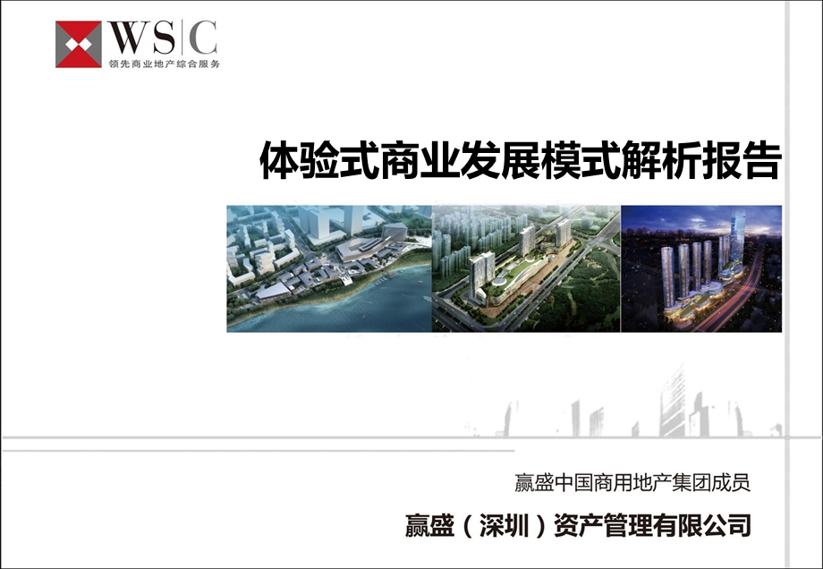 体验式商业发展模式解析报告.ppt_第1页