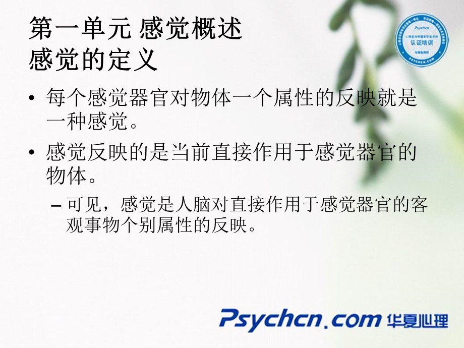 第三节感觉和知觉.ppt_第2页