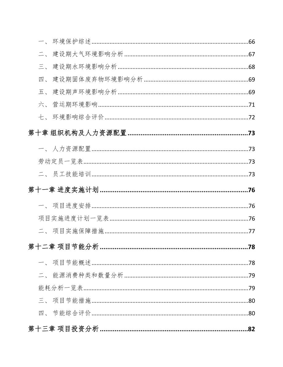 垫江汽车内外饰件项目可行性研究报告.docx_第3页