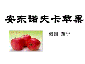 安东诺夫卡苹果自制版.ppt