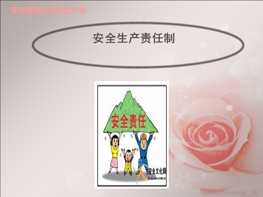 安全生产法之生产责任制.ppt_第1页