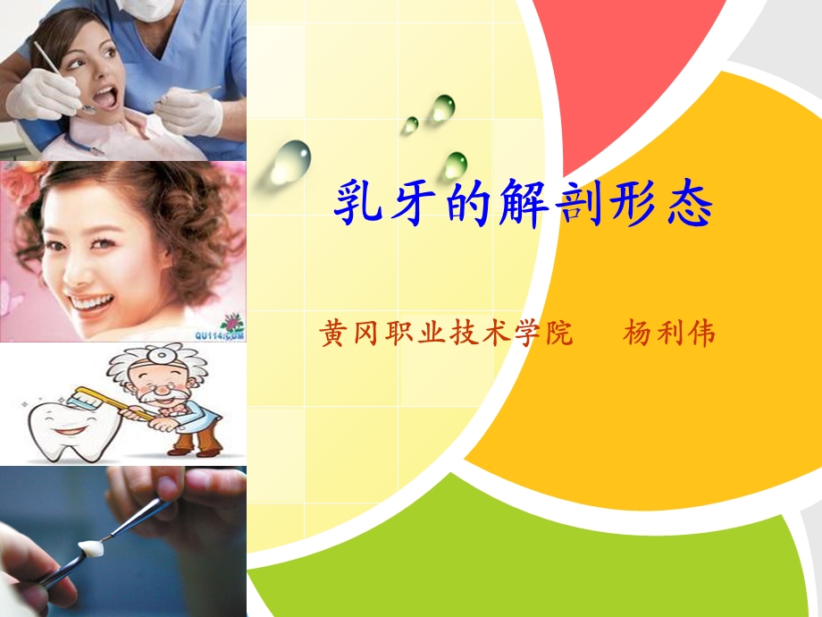 口腔解剖生理学-乳牙的解剖形态.ppt_第1页