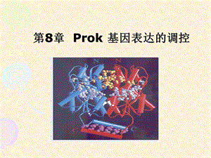 分子生物学(余爱丽)第八章prok基因表达调控.ppt