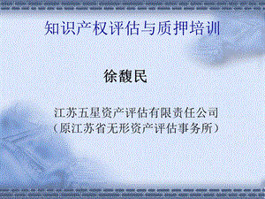 知识产权评估与质押培训.ppt