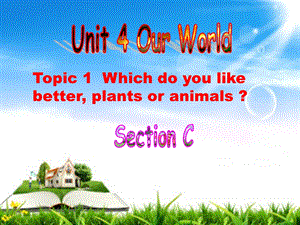 仁爱版英语八年级上Unit4Topic1SectionC.ppt