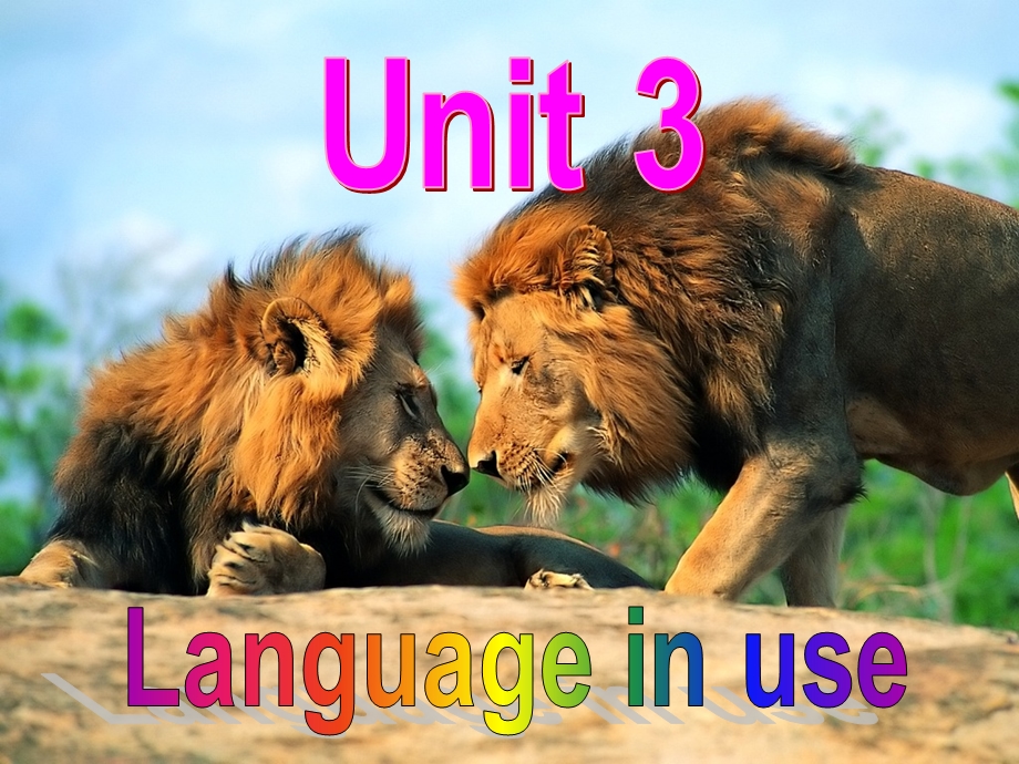 外研版初中英语七年级上册Module6Unit3Languageinu.ppt_第2页