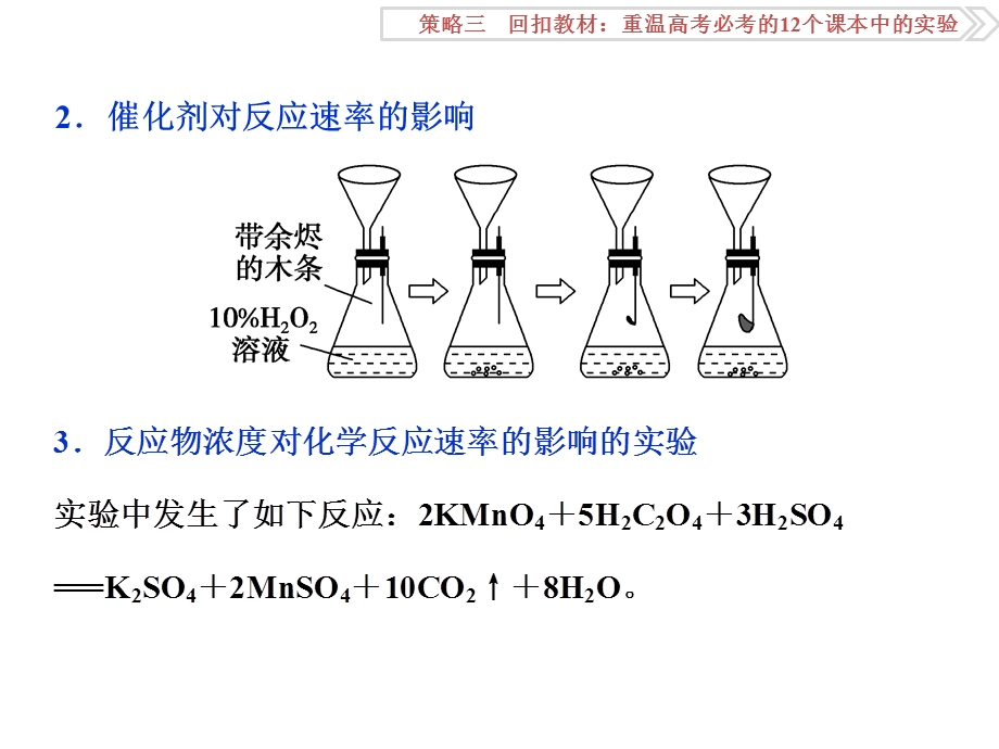 卓越学案二轮第二部分策略三教材实验10.ppt_第3页