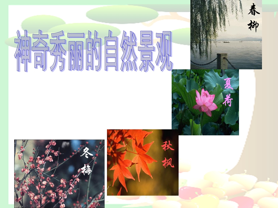 大自然的语言张记.ppt_第2页