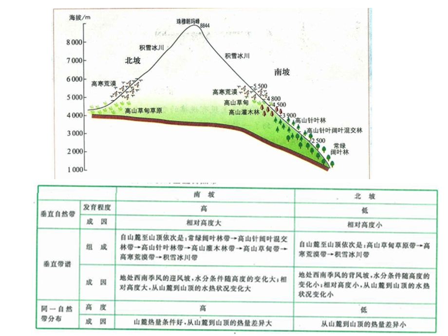 垂直地域分异常见读图题解析.ppt_第3页