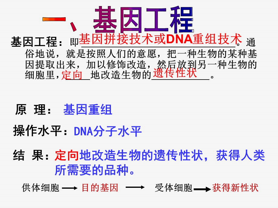 基因工程及其应用课件.ppt_第2页